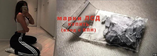 гашик Арсеньев