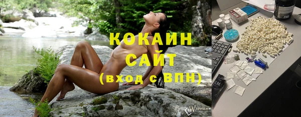 гашик Арсеньев