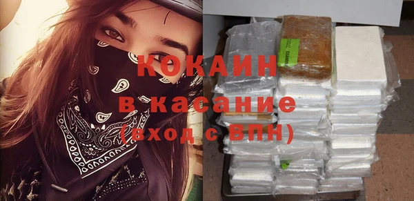 гашик Арсеньев