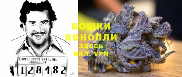 гашик Арсеньев