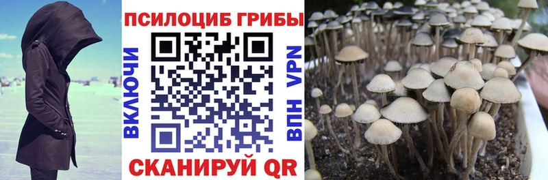 Галлюциногенные грибы Cubensis  продажа наркотиков  Балахна 